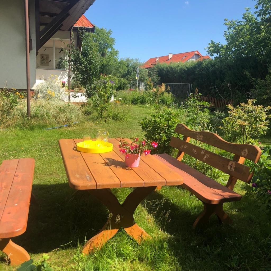 Dom Natura Grzybowo  Dış mekan fotoğraf